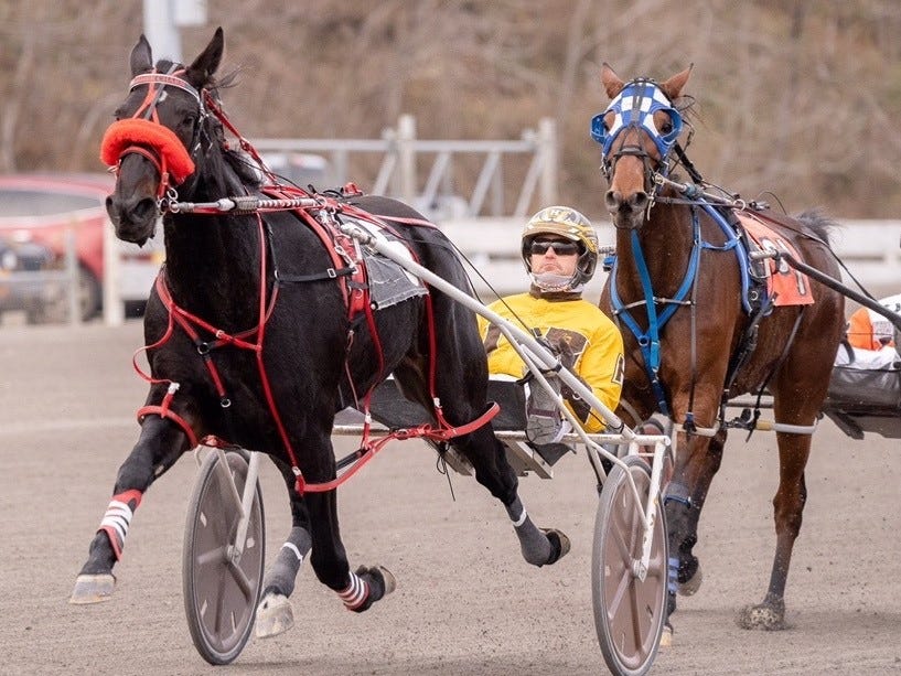 Harness Profile of driver Tony Hall